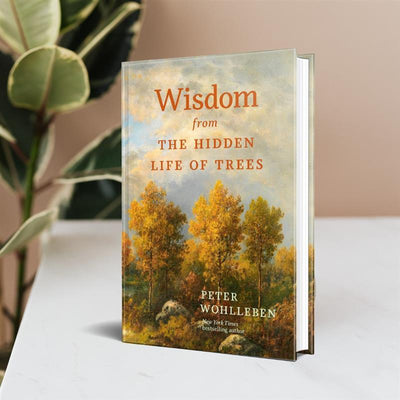 Wisdom From The Hidden Life of Trees